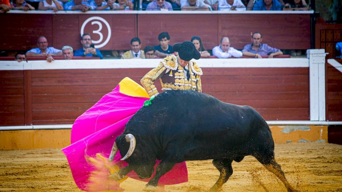 Los toros volverán en San Saturio. HDS