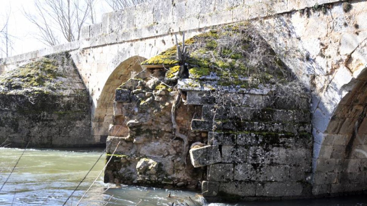 Estado del puente de Andaluz en la reciente visita de un representante del Procurador del Común.-VALENTÍN GUISANDE