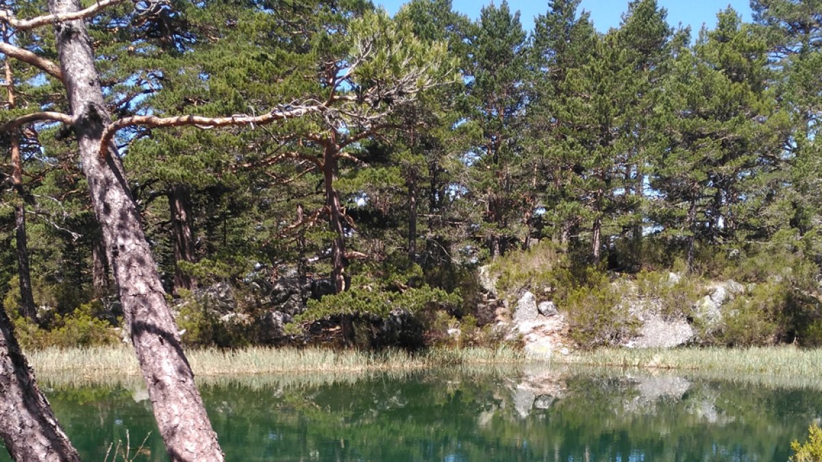 Laguna Verde.-HDS