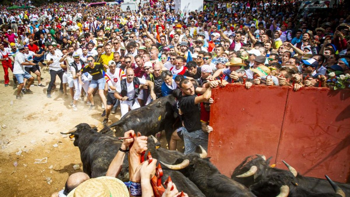 El ambiente en la en la pradera fue espectacular en la vuelta del Jueves la Saca.- MARIO TEJEDOR