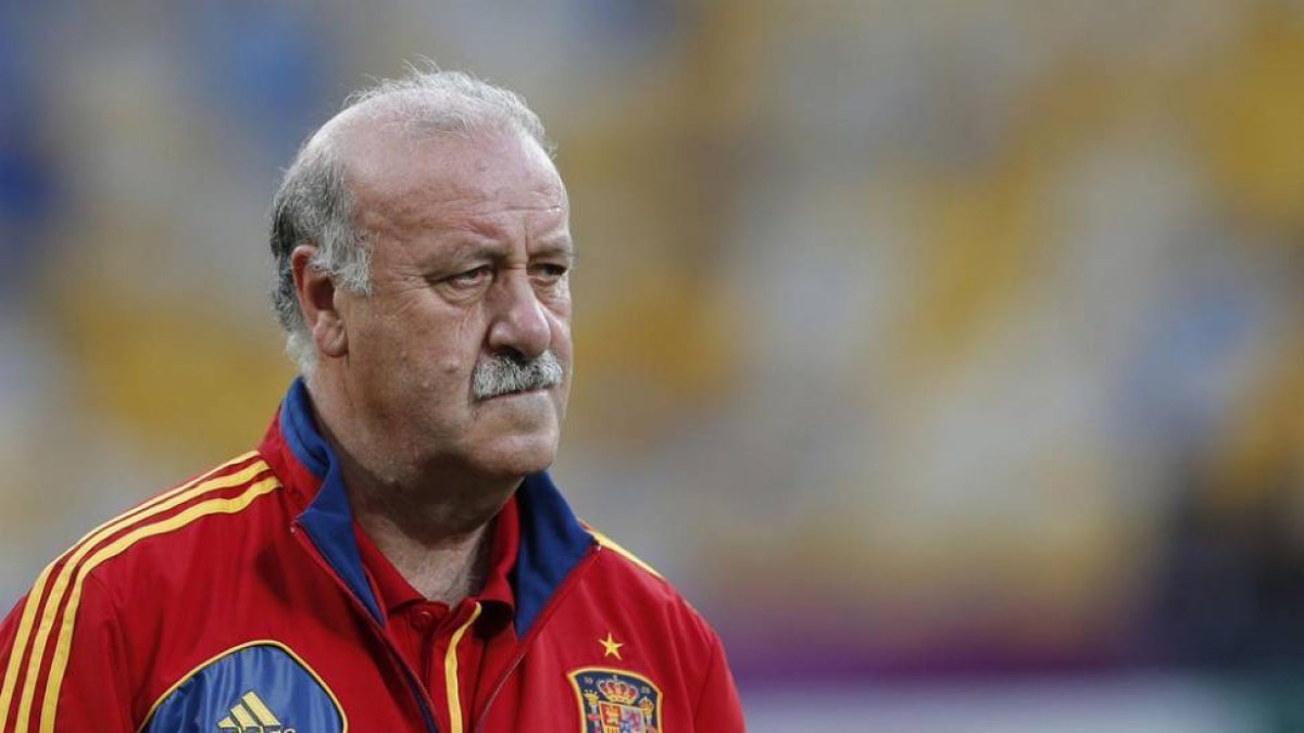 El seleccionador nacional de fútbol, Vicente del Bosque.-