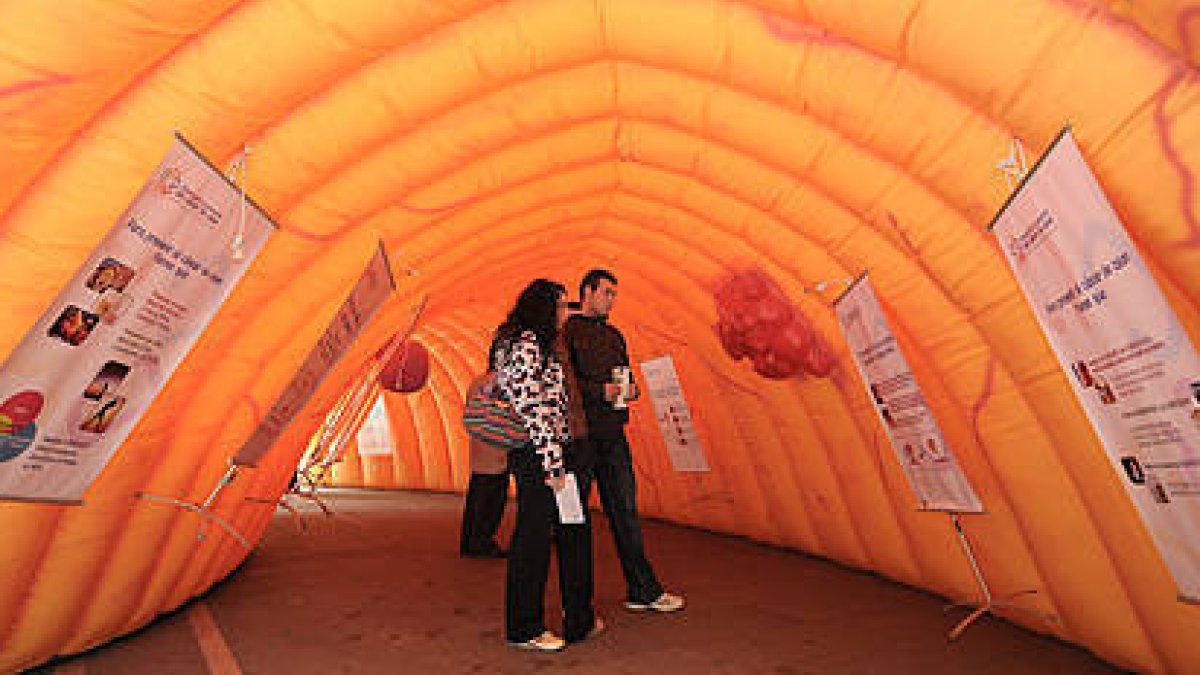 La exposición ‘Un paseo por el colon’ instalada ayer en la plaza Herradores. / Ú.S.-