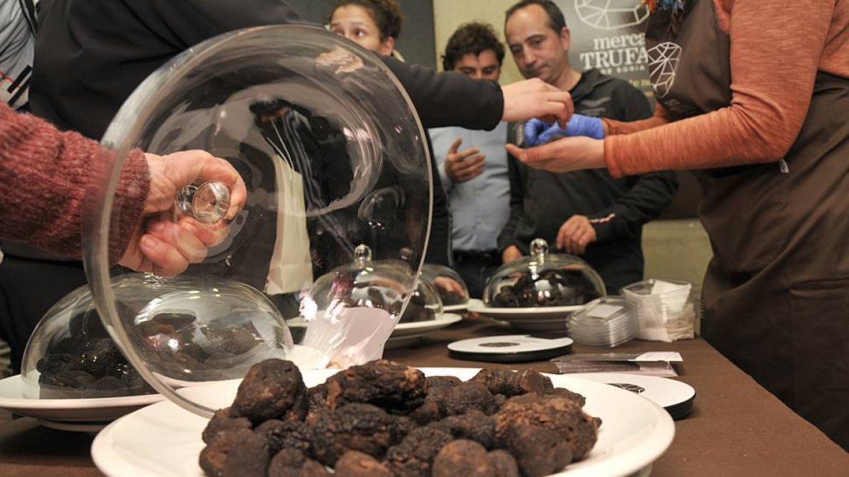 Las trufas, un producto emblema de Soria.-VALENTÍN GUISANDE