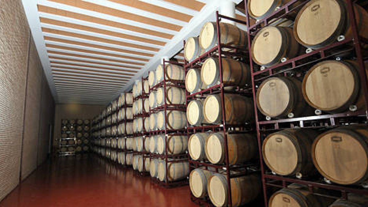 Bodega vitivinícola en la provincia de Soria. / ÚRSULA SIERRA-