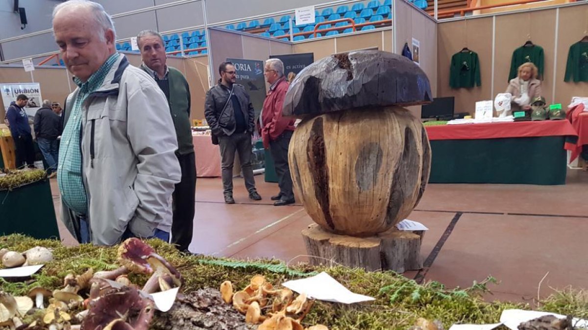 Imagen de la muestra-Cedida