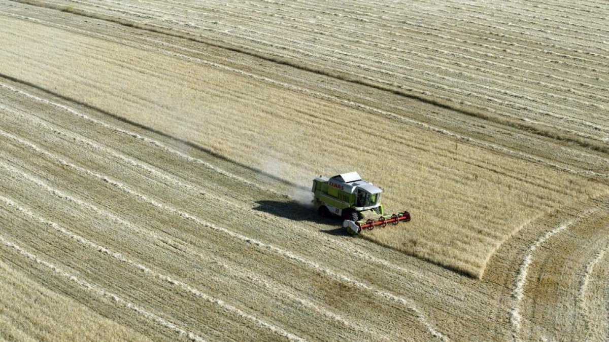 Una cosechadora trabaja en un campo de cereal. HDS