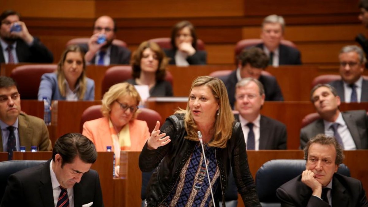 La consejera de Hacienda, Pilar del Olmo, durante su intervención en el pleno de las Cortes de Castilla y León.-ICAL