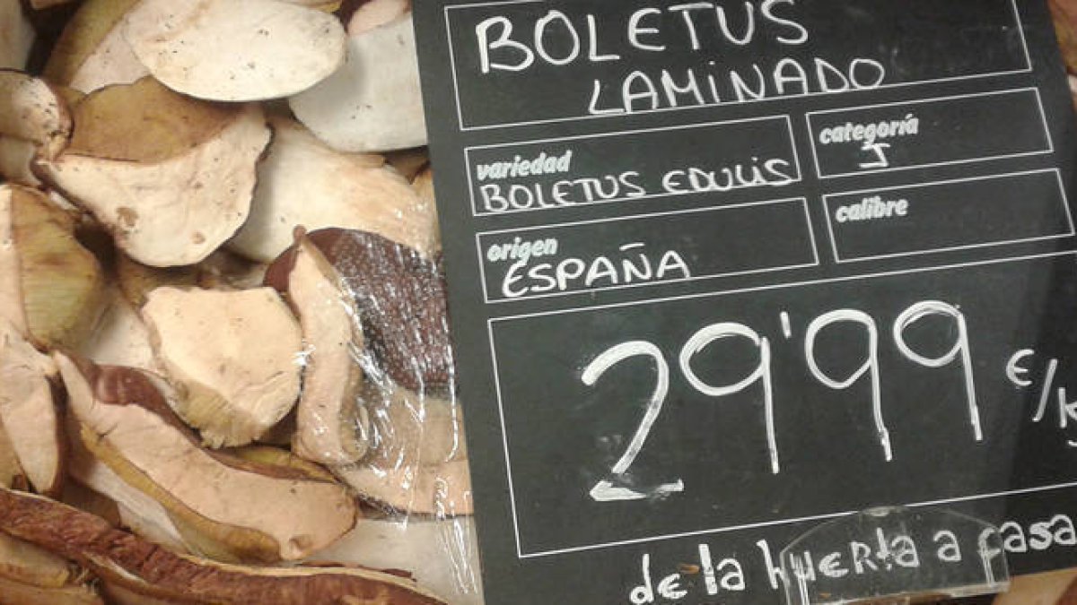 Precio del kilo del Boletus Edulis ayer en una gran superficie de Zaragoza. / ALFREDO ANDRÉS-