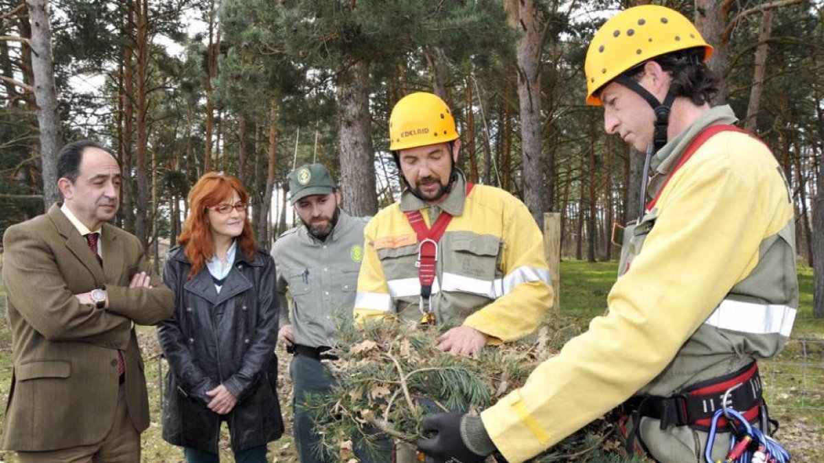 Los agentes medioambientales preparan la instalación del nido para favorecer la cría de pequeñas rapaces.-VALENTÍN GUISANDE