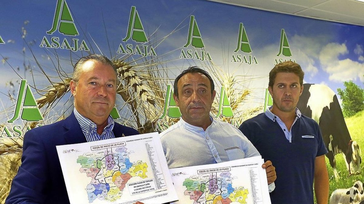Donaciano Dujo, Honorato Meneses y Álvaro de la Hera muestran los datos de la plaga de topillos.-- ICAL