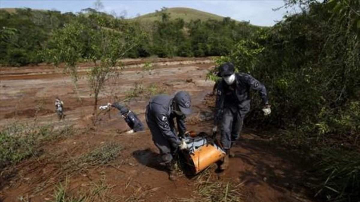 Bomberos cargan uno de los cadáveres recuperados el 12 de noviembre tras la rotura de la represa de la mina de hierro.-REUTERS / RICARDO MORAES