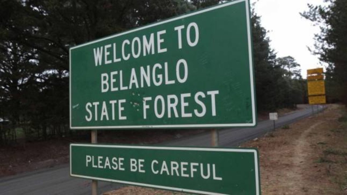 Entrada al Bosque de Belanglo, al sudoeste de Sydney, donde se encontraron los cuerpos de siete jóvenes asesinados por Ivan Milat.-Foto: BELANGLO / LEE BESFORD