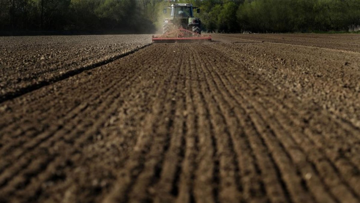 Un agricultor salmantino realiza varias labores agrarias en plena sementera, en una parcela cercana a la capital.-ENRIQUE CARRASCAL