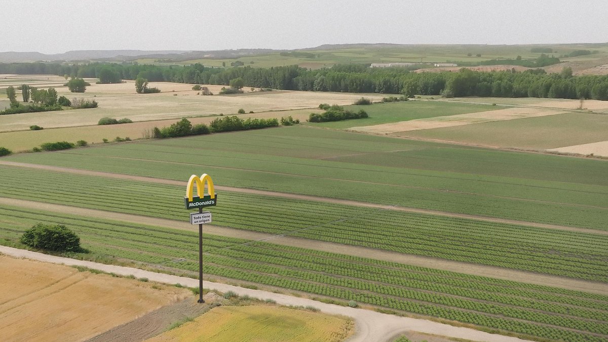 Campo de lechugas en Soria con la publidad de McDonald's. ANA HERNANDO