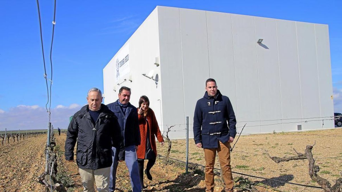 El equipo humano de la bodega, (de i. a d.) Teodoro, Juan Manuel, Saray y Roberto Recio, camina entre dos líneos. Abajo, depósitos de elaboración.-M. T.