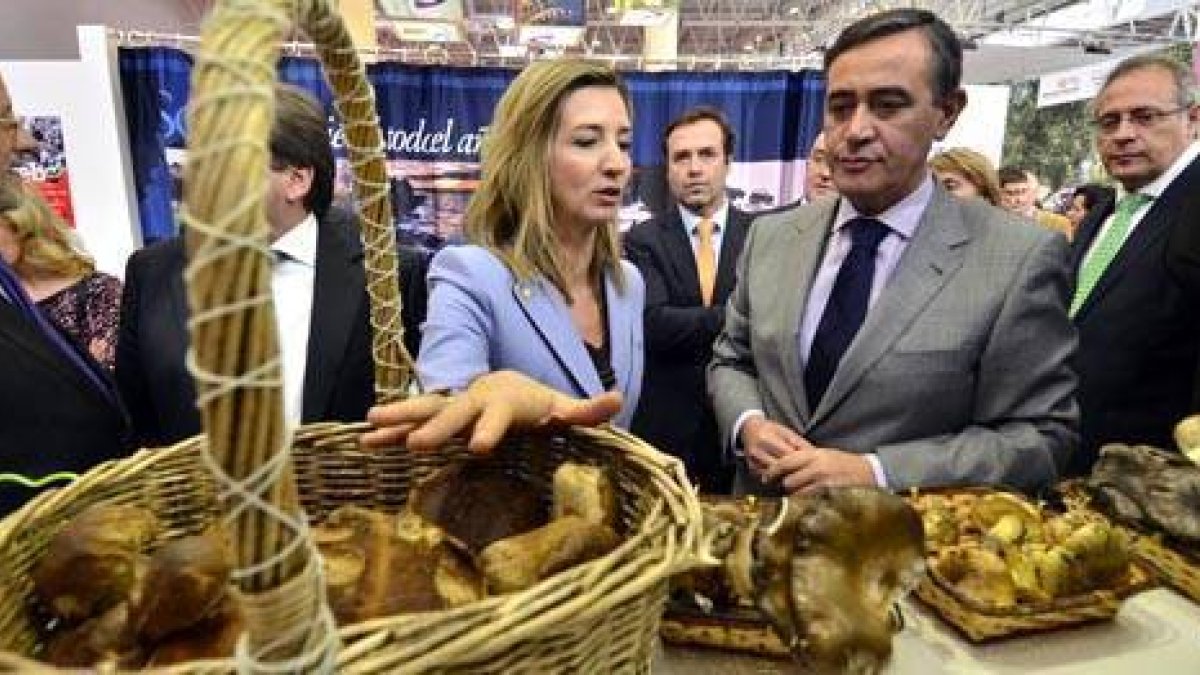 García y Pardo observan el 'rincón micológico' del stand soriano. / ÁLVARO MARTÍNEZ-
