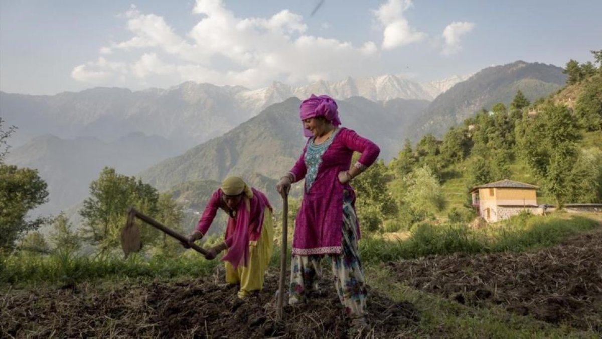 Unas mujeres laboran la tierra en la ciudad india de Dharmsala.-ASHWINI BHATIA (AP)