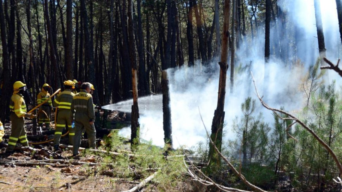 Los incendios fueron a menos.-Álvaro Martínez