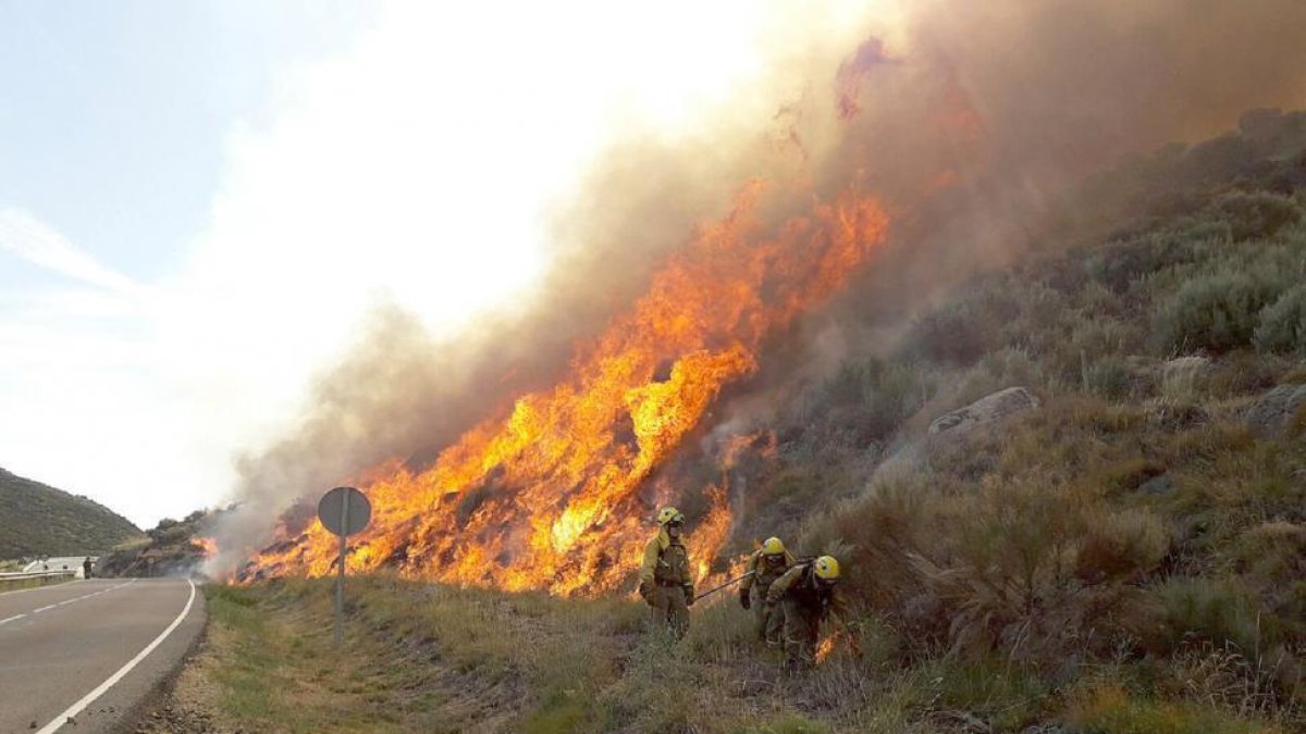 Imagen del incendio.-ICAL