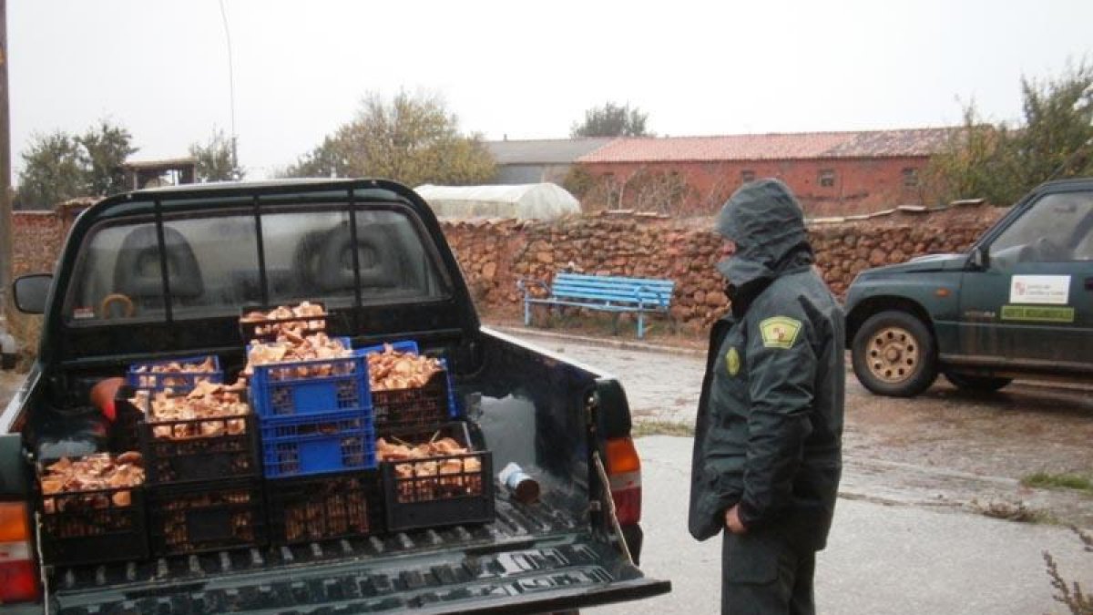 Boletuos decomisados-HDS