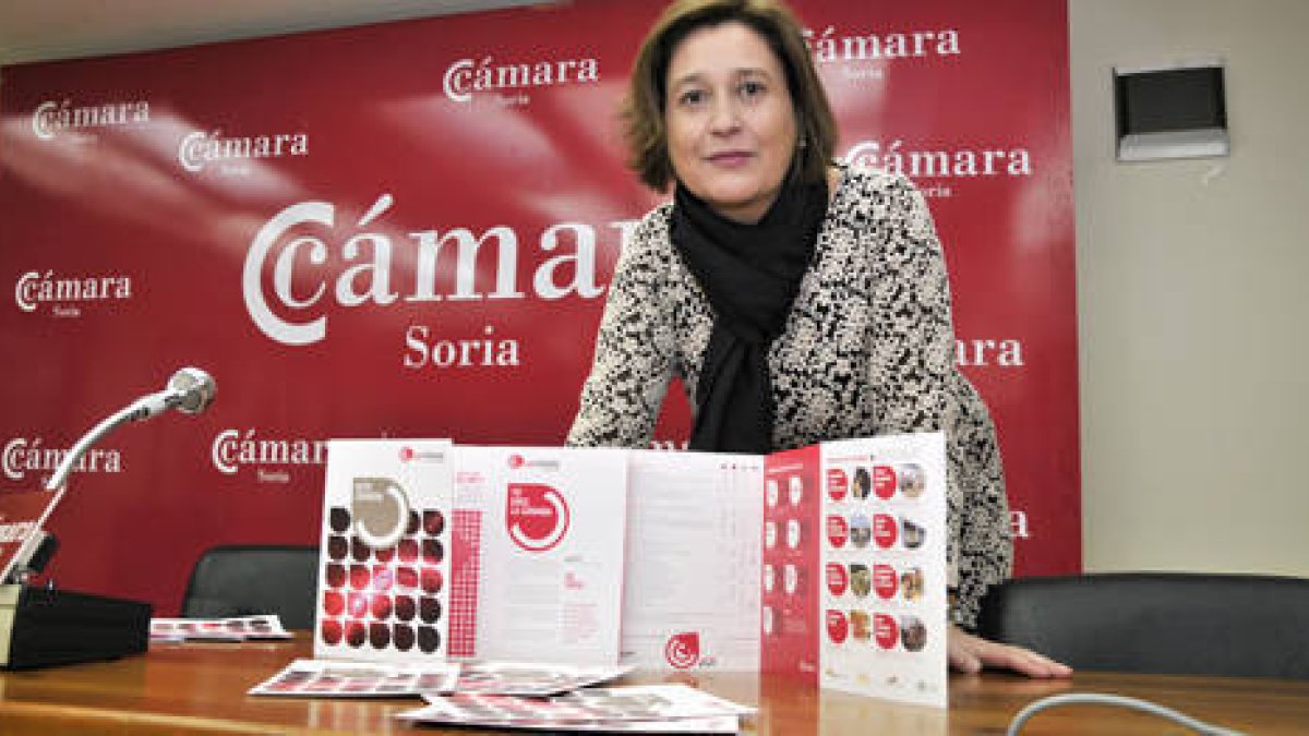 Sánchez Barreiro con la documentación del proyecto ‘Club Cámara’. / VALENTÍN GUISANDE-