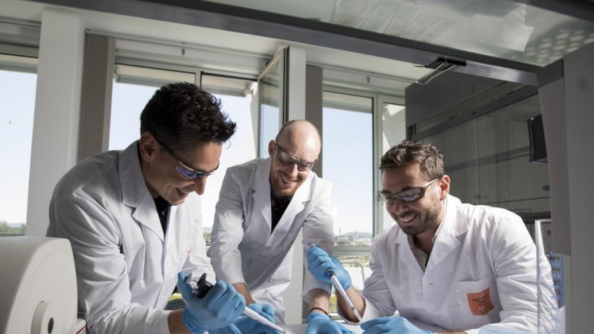 Miembros del grupo Bioforge en las instalaciones del edificio LUCIA de la Universidad de Valladolid.-PHOTOGENIC