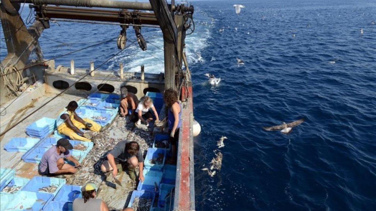 Pescadores de Rosas.-