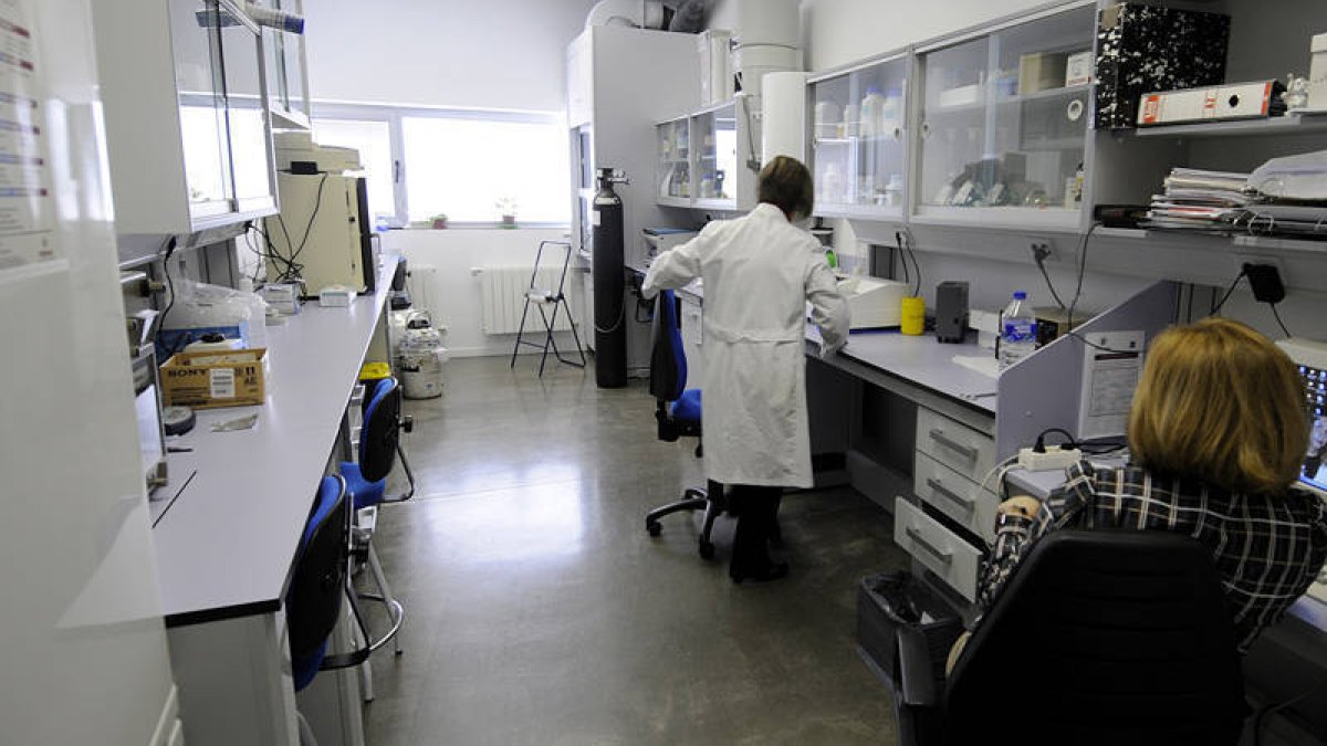 Laboratorio del campus universitario Duques de Soria. / VALENTÍN GUISANDE-