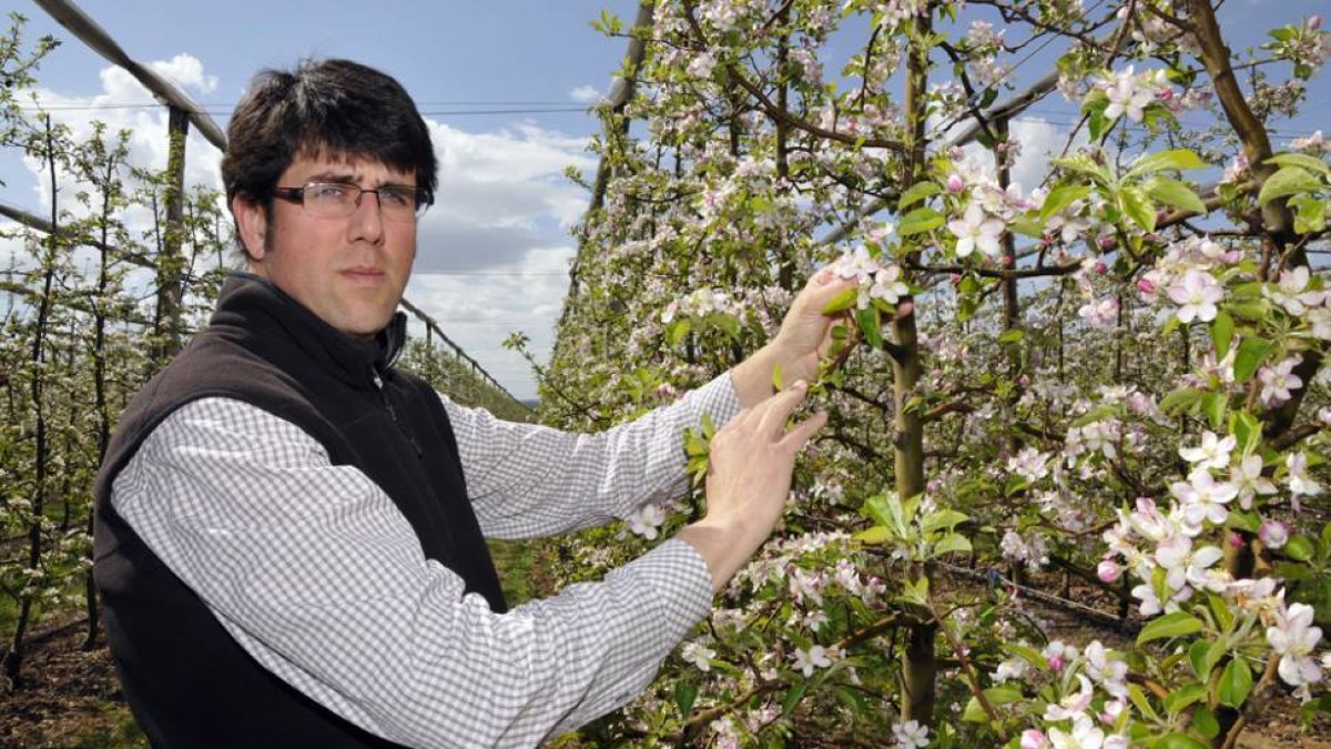 Argiles muestra la floración que presentan en esta semana los manzanos de Nufri.-VALENTÍN GUISANDE