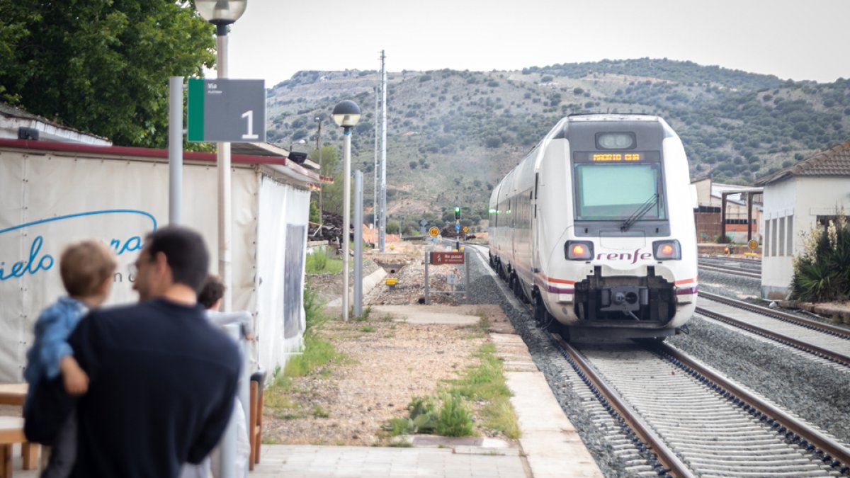 Línea de tren entre Soria y Madrid. - GONZALO MONTESEGURO