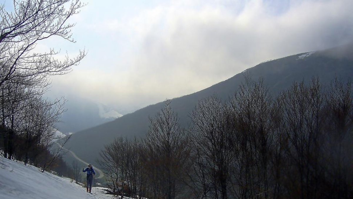 Entre el bosque, al inicio de nuestra excursión.-N.S.