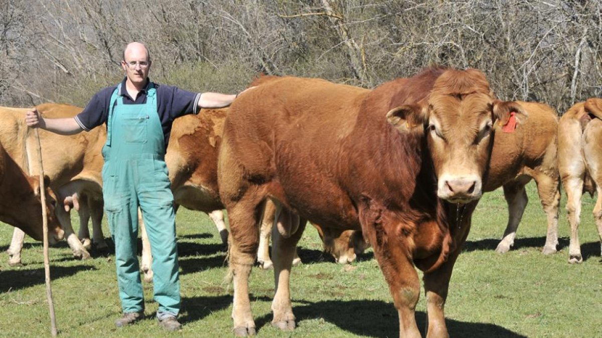 León Matute, de Sotillo del Rincón.-V. GUISANDE