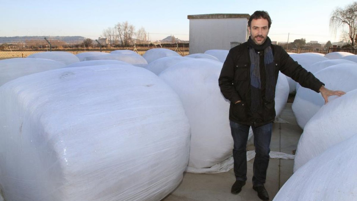 El director del Itagra, Asier Saiz, junto a uno paquetes de forraje envueltos en plásticoo.-MANUEL BRÁGIMO