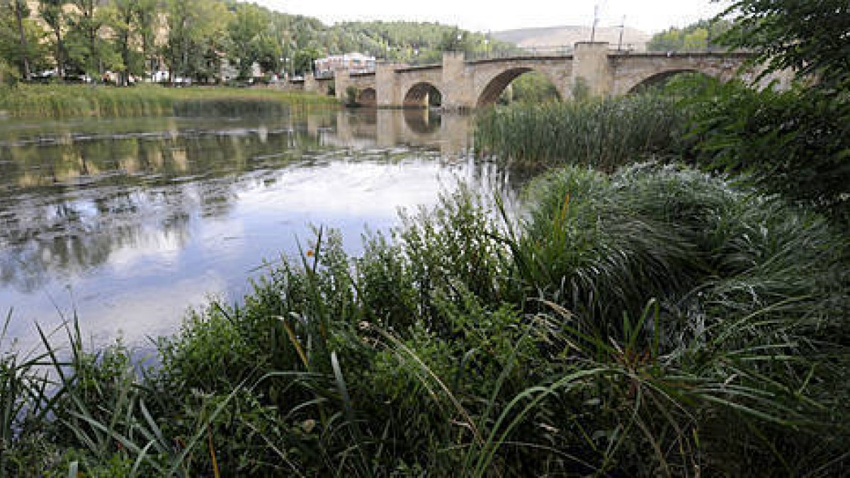 Vista de las márgenes del Duero en la capital soriana. / VALENTÍN GUISANDE-