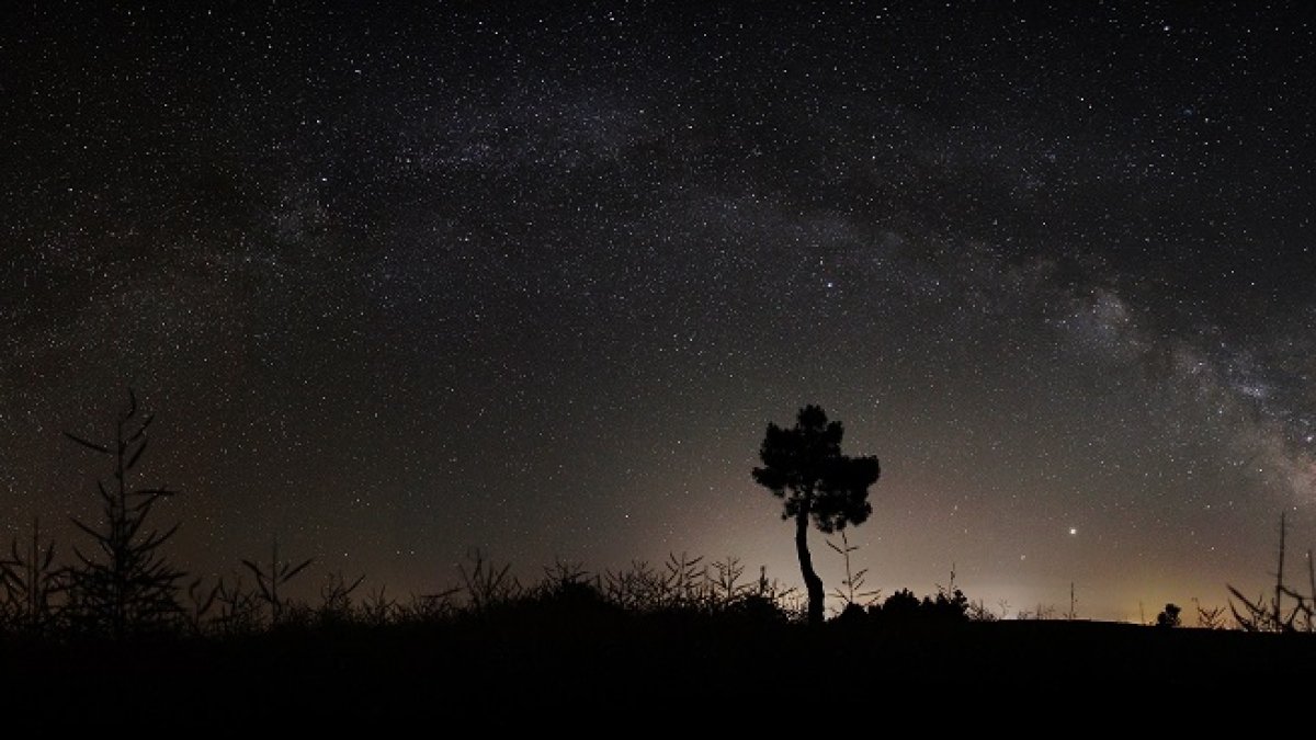 Panorámica de la Vía Láctea en la última noche de la primavera del 2020 sobre León; el punto brillante sobre el horizonte a la derecha del árbol son Júpiter y Saturno en conjunción.- ICAL