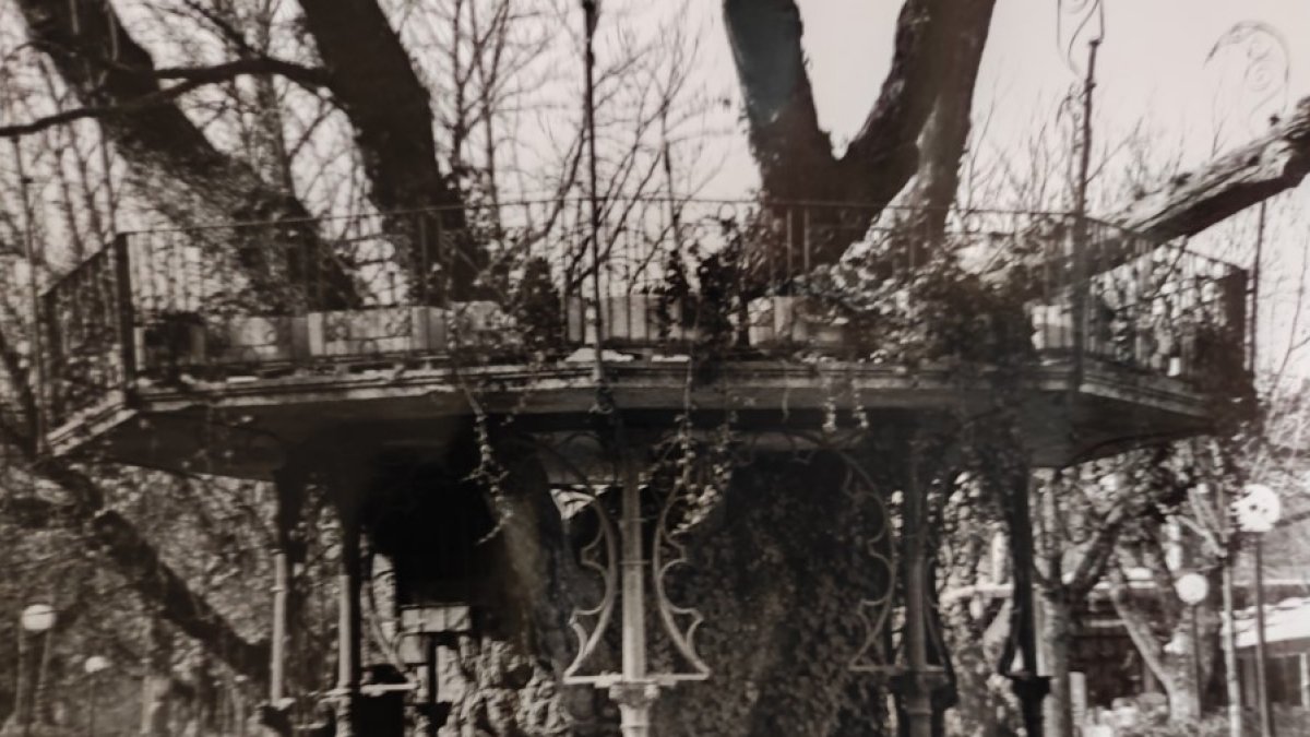 El Árbol de la Música, cuando todavía el olmo original lucía su gran porte en el corazón de la Dehesa de Soria. HDS