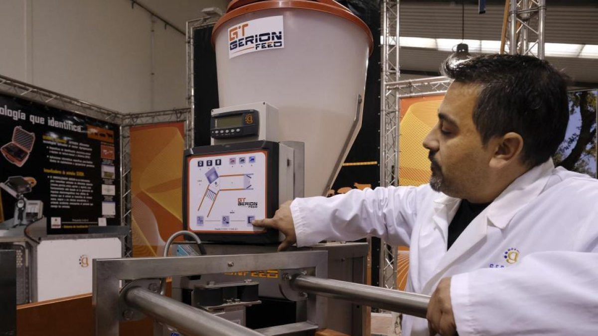 Un trabajador de la empresa Gerionte Technology muestra la máquina de alimentación automática para las cerdas gestantes.-ENRIQUE CARRASCAL