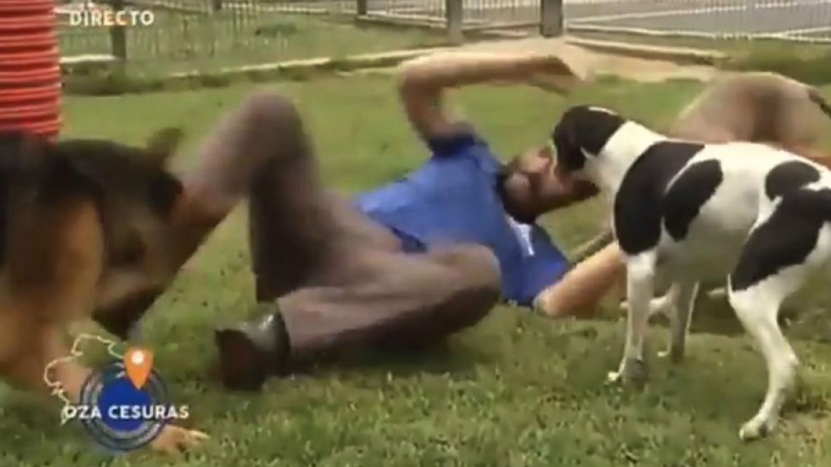 Momento en el que el cuidador patea al pastor alemán (a la izquierda) para zafarse de él.-EL PERIÓDICO