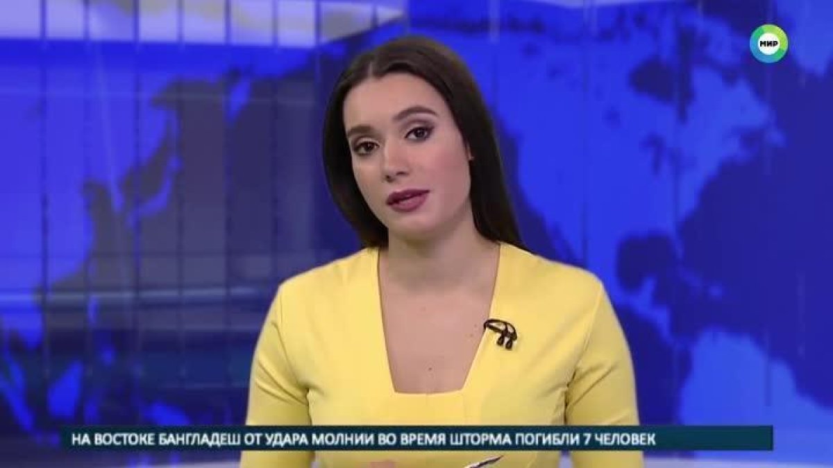 Un perro irrumpe en un plató de televisión ruso durante una emisión en directo.-YOUTUBE