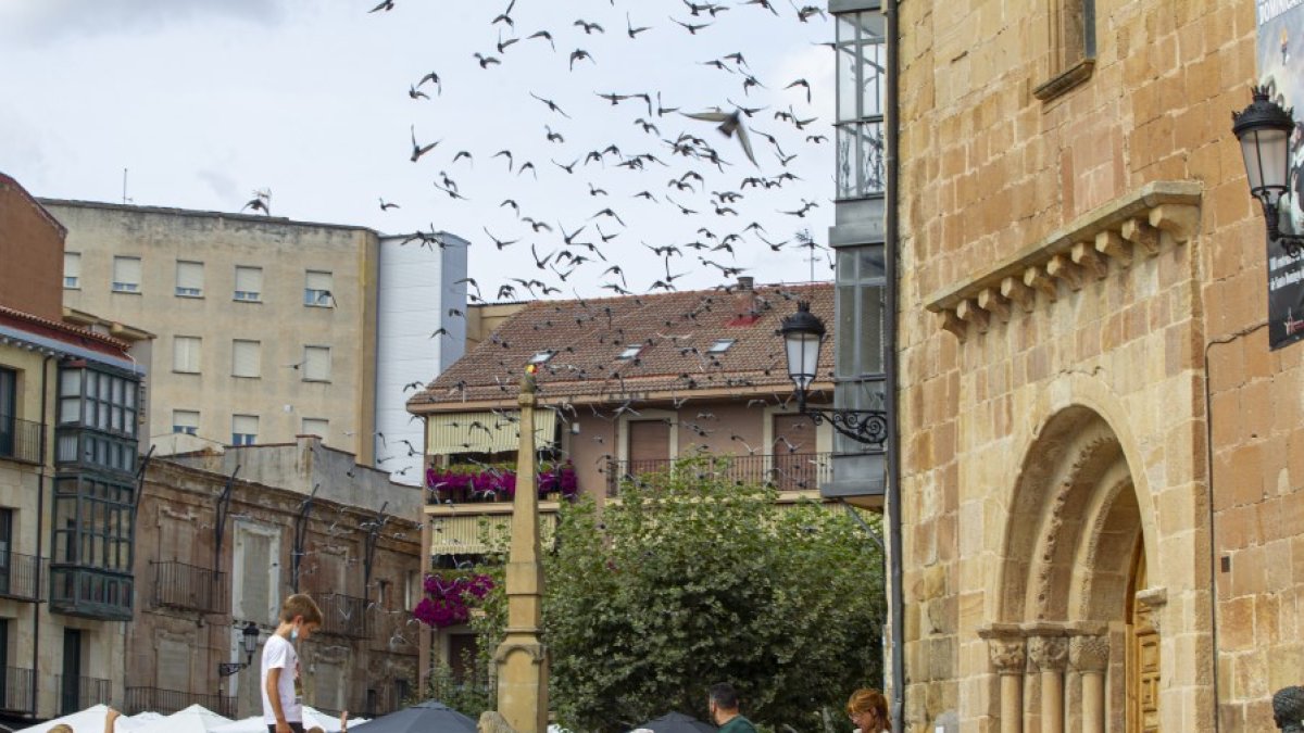 La Iglesia de Santa María La Mayor en la plaza Mayor de Soria. HDS