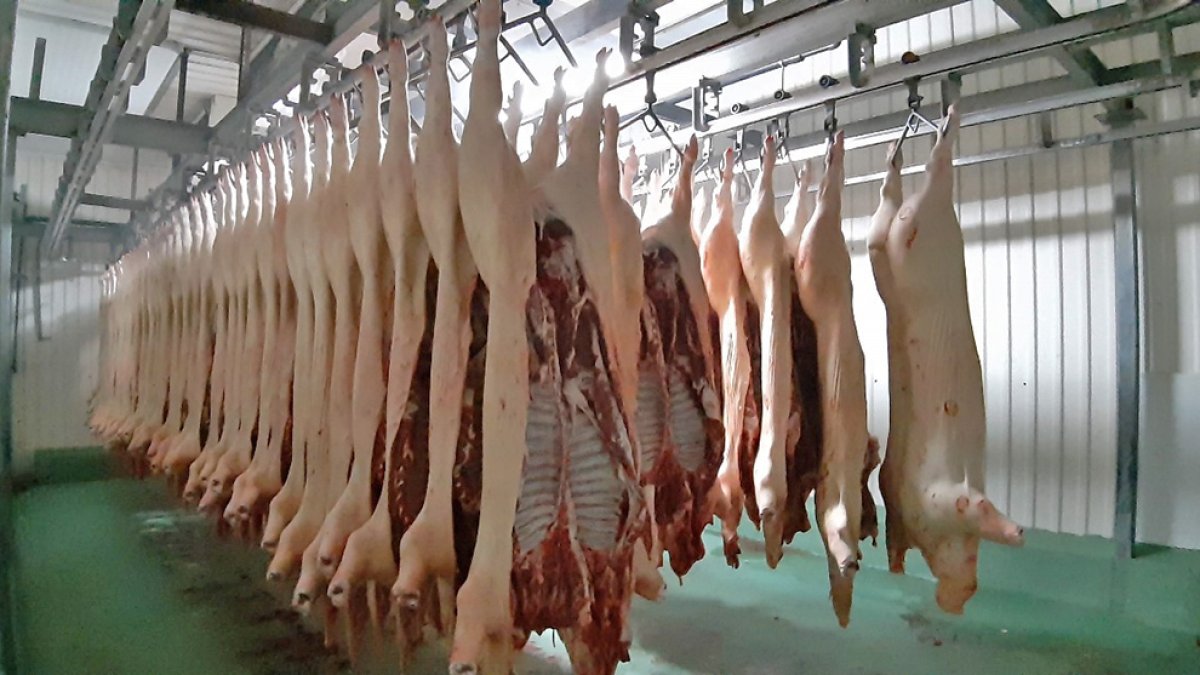 Matadero en la provincia.-HDS