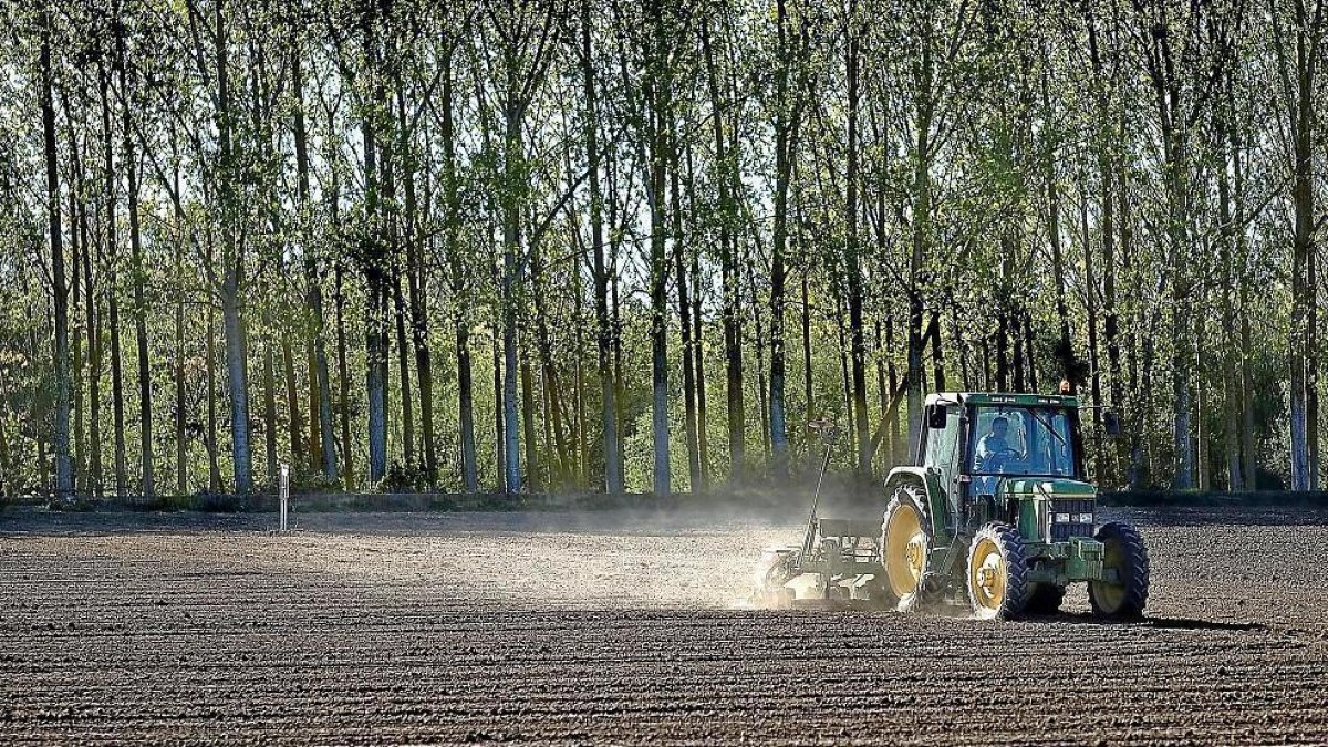 Un tractor realiza labores en un campo de cultivo en Salamanca. --ENRIQUE CARRASCAL