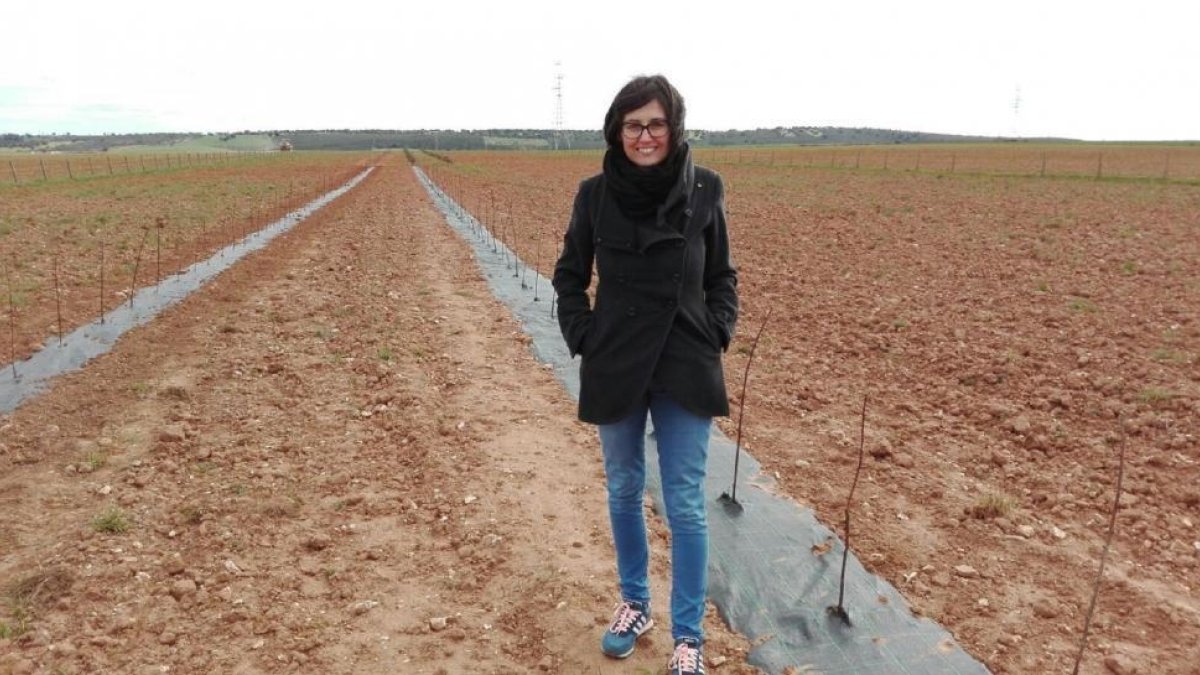 Nuria en su explotación de Almendra donde ha plantado sus zarzamoras-E. M.