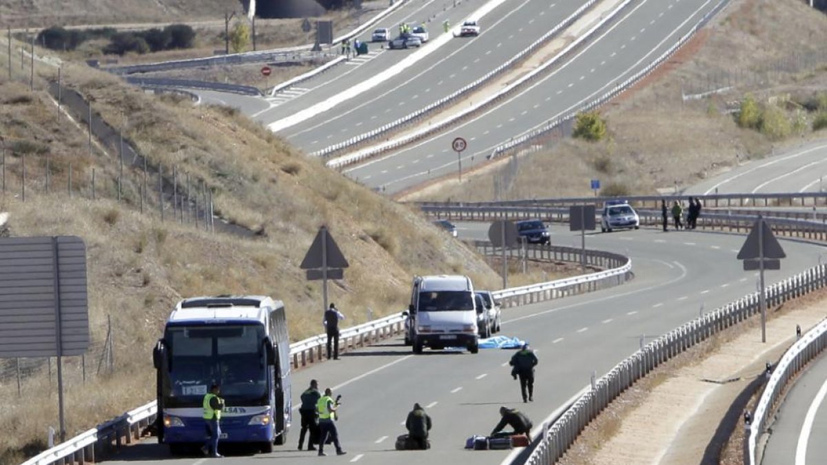 El autobús parado en la A-15 durante la mañana del domingo.-L.A.T.