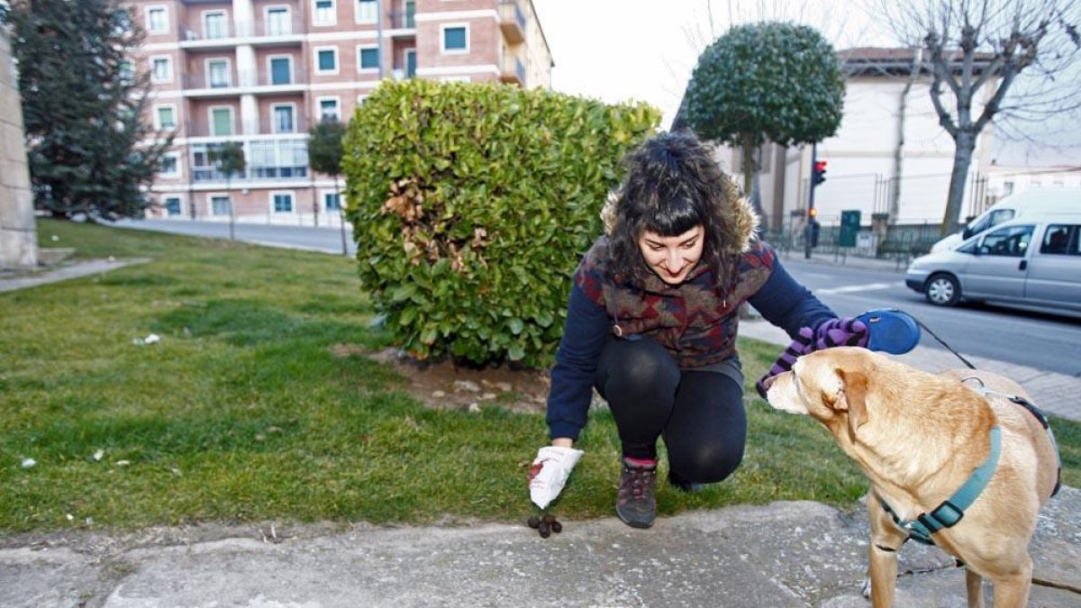 Señora recogiendo las cacas de su mascota-LAT