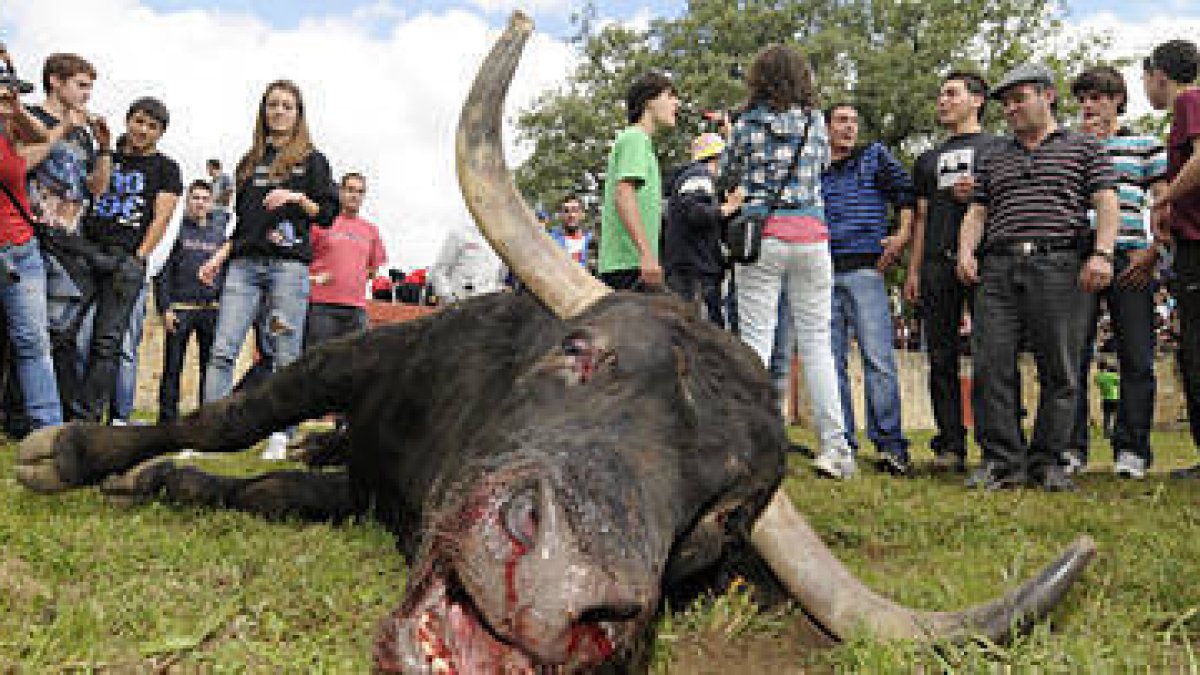 Valonsadero acoge el primer festejo previo a las fiestas. / V.G.-