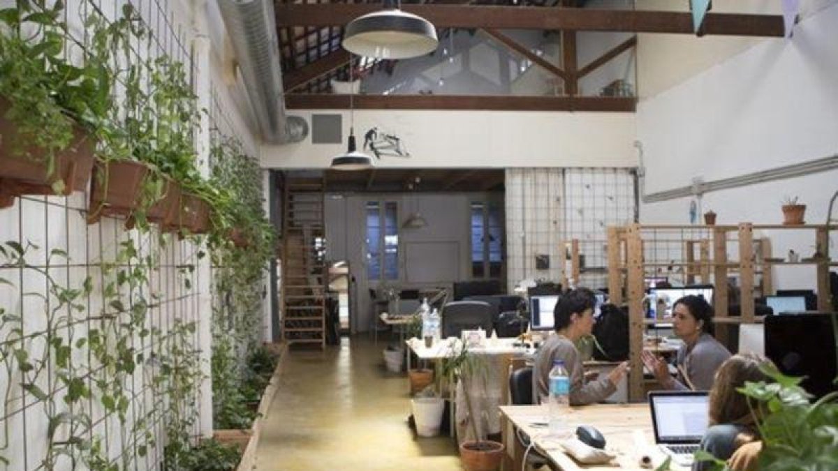 Coworking Garden Atelier.-ALBERT BERTRAN