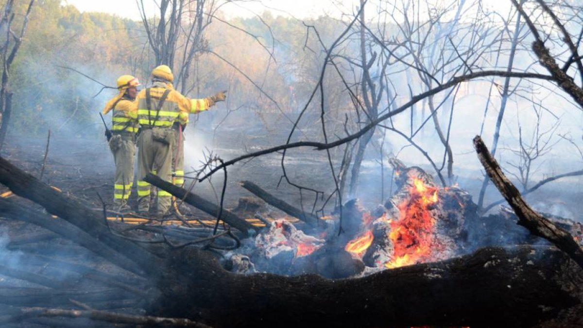 Labores de extinción del incendio.-ÁLVARO MARTÍNEZ