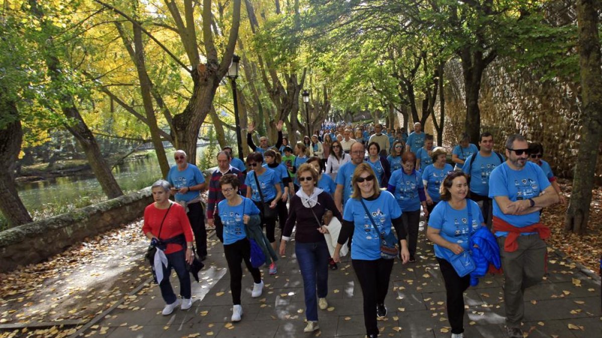 El Camino contra el Cáncer tiñó Soria de azul.-MARIO TEJEDOR