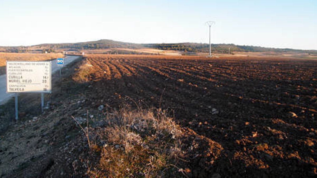 Vista general de la necrópolis arada. /JAVIER SOLÉ-
